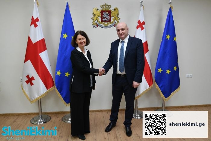 შრომის უსაფრთხოებისა და შრომითი უფლებების დაცვის კუთხით, ქვეყანაში განხორციელებული და მიმდინარე რეფორმები დადებითად შეფასდა | sheniekimi.ge | შენი ექიმი