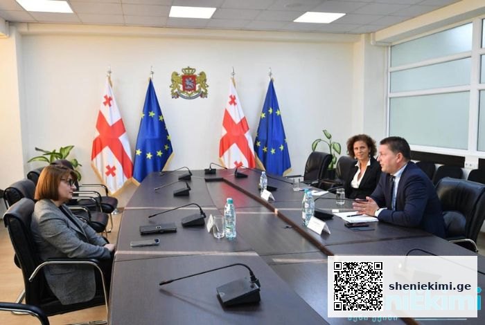 სოციალური დაცვის მიმართულებით არსებული მნიშვნელოვანი პროექტები და გამოწვევები | sheniekimi.ge | შენი ექიმი
