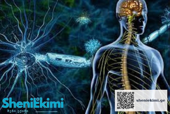 ხუთი პათოლოგიური მდგომარეობა, რომელიც შეიძლება დაკავშირებული იყოს გაფანტული სკლეროზის განვითარებასთან | sheniekimi.ge | შენი ექიმი
