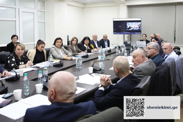 საბჭოს შემადგენლობა პერიოდულად განახლდება – საბჭომ 9 საკითხი განიხილა | sheniekimi.ge | შენი ექიმი