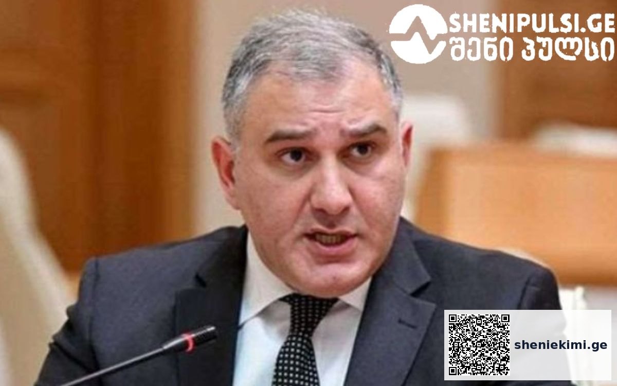 „ეს არის მთავარი ღერძი, რომელზეც დაშენდება ყველა შემდგომი გადაწყვეტილება“ – მიხეილ სარჯველაძე | sheniekimi.ge | შენი ექიმი