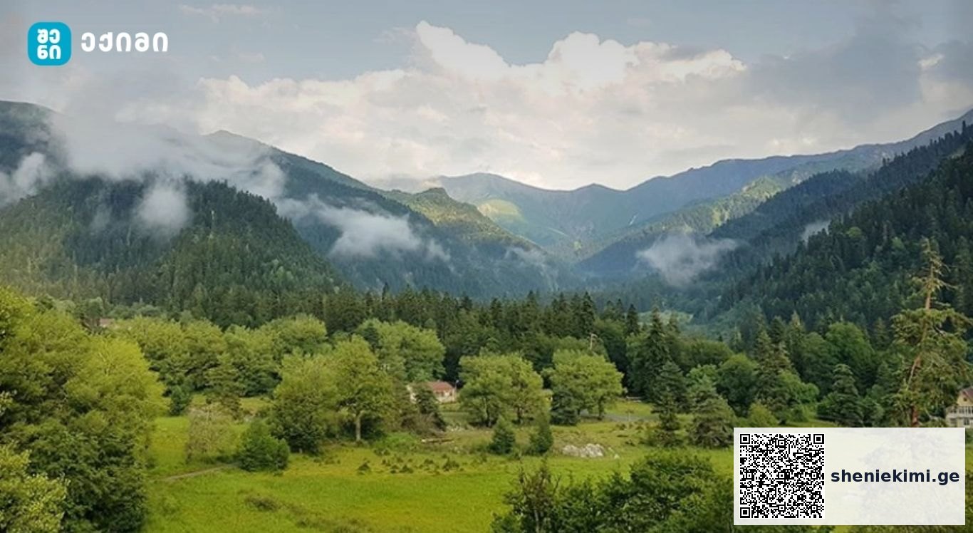შოვის მინერალური წყლებით სასუნთქი გზების, ნერვული სისტემის და მომნელებელი სისტემის დაავადებებს კურნავენ | sheniekimi.ge | შენი ექიმი