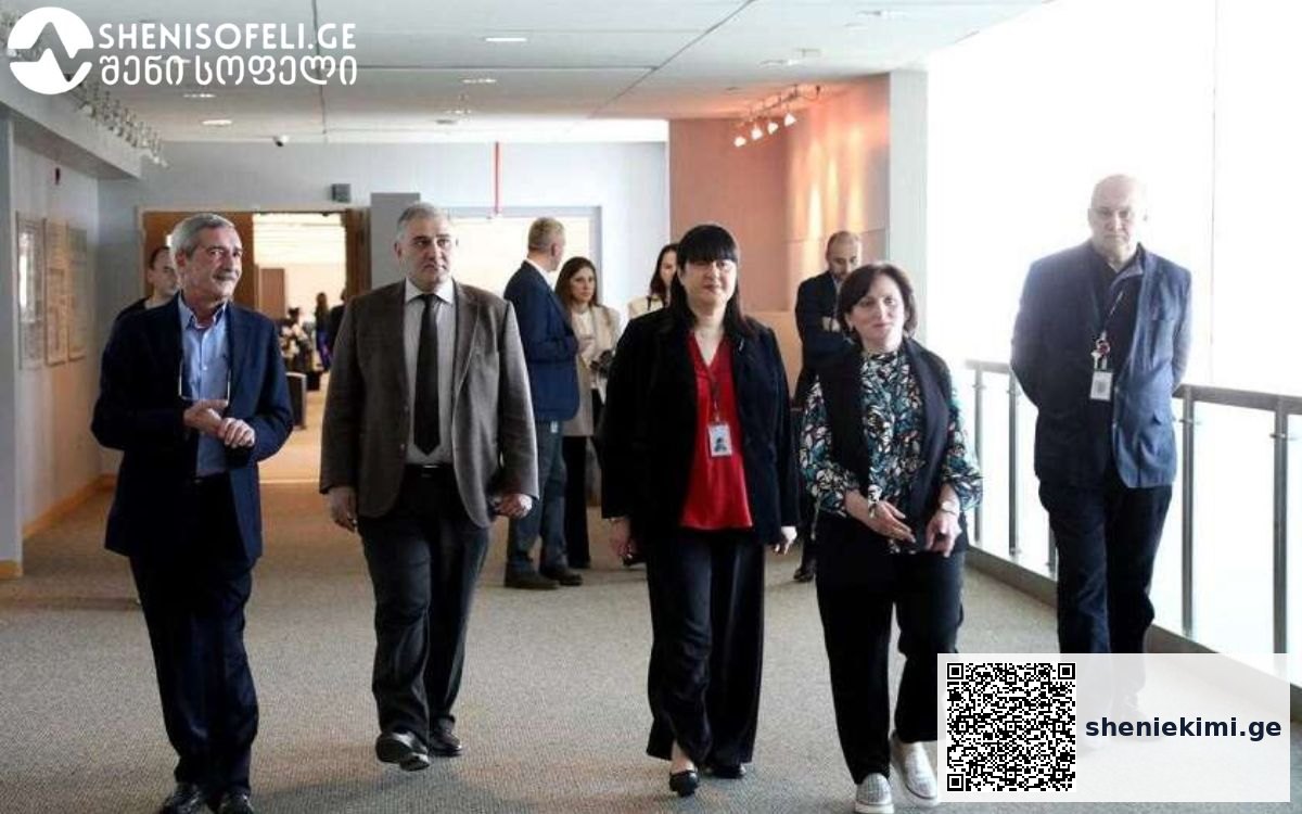 „არსებულ გამოწვევებსა და მათი გადაჭრის გზებზე მუშაობა, აქტიურად გაგრძელდება“ | sheniekimi.ge | შენი ექიმი