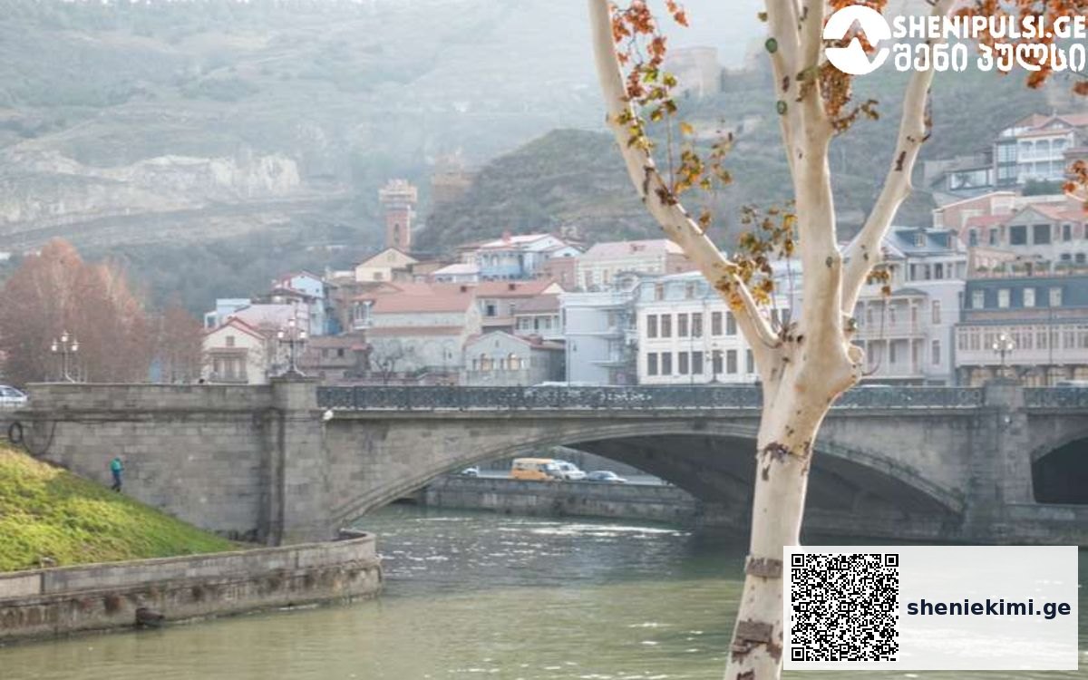 დედაქალაქში და საქართველოს ზოგიერთ რაიონში ატმოსფერულ ჰაერში ფიქსირდება მყარი ნაწილაკების შემცველობის მატება, რაც ძირითადად ტრანსსასაზღვრო დაბინძურებას უკავშირდება | sheniekimi.ge | შენი ექიმი