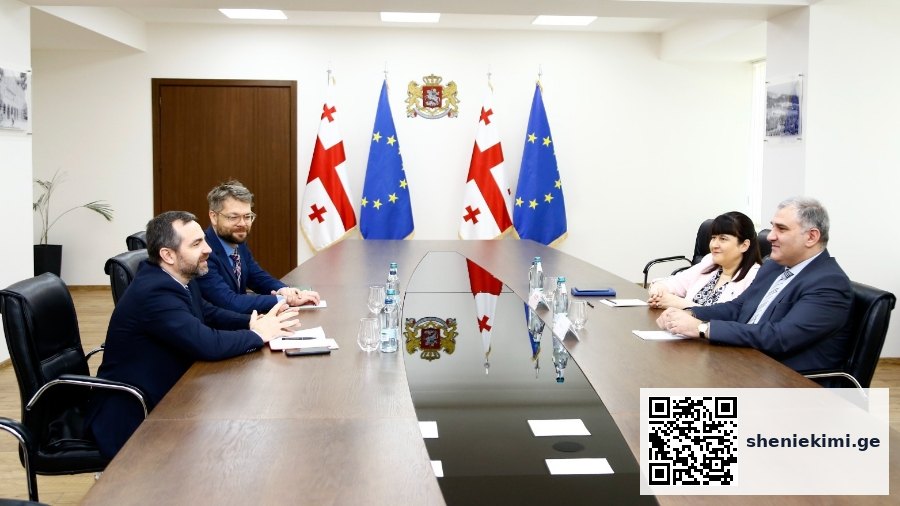 მიხეილ სარჯველაძე ჯანდაცვის მსოფლიო ორგანიზაციის საქართველოს ოფისის ხელმძღვანელ სილვიუ დომენტეს შეხვდა | sheniekimi.ge | შენი ექიმი
