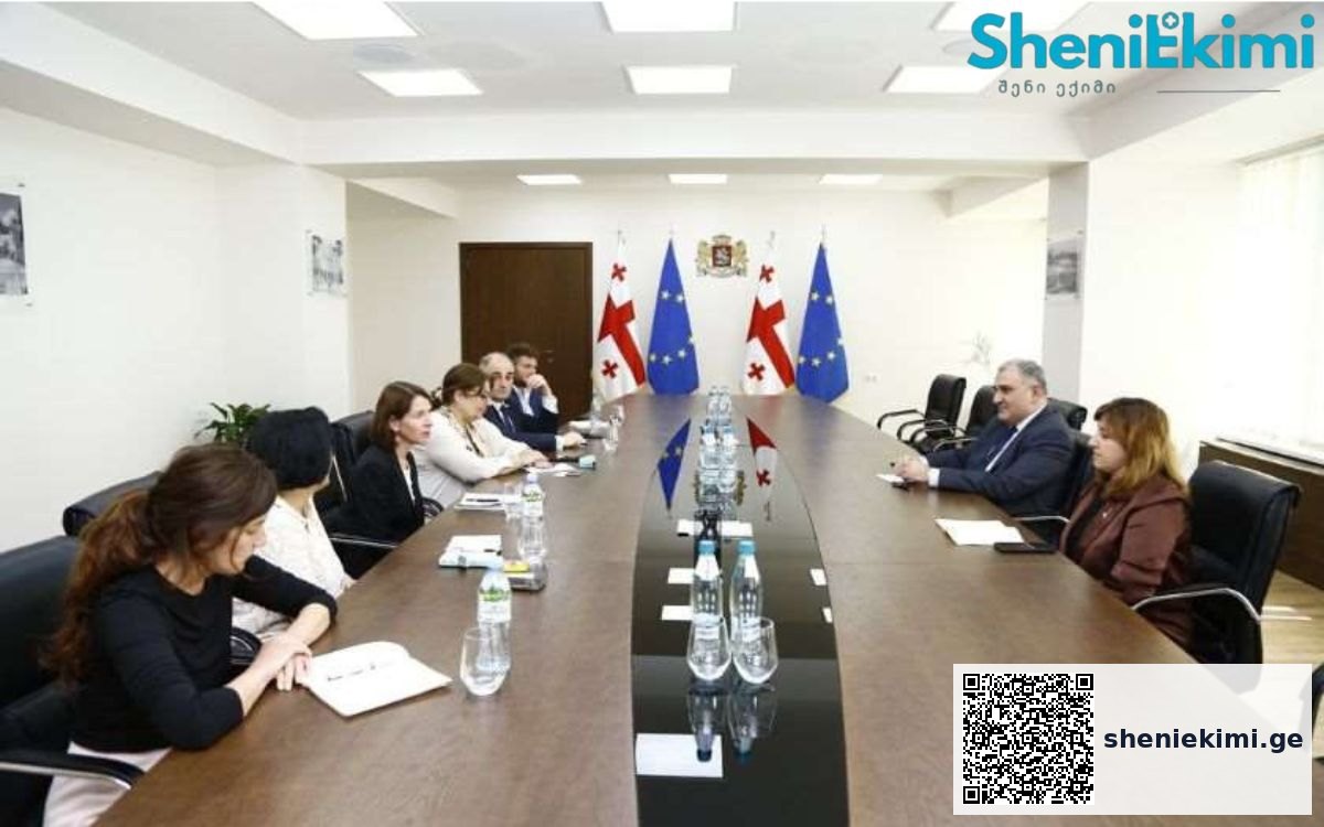 განიხილეს ქალთა მიმართ ძალადობის, შშმ პირთა უფლებებისა და სოციალური სერვისების განვითარების მექანიზმები | sheniekimi.ge | შენი ექიმი
