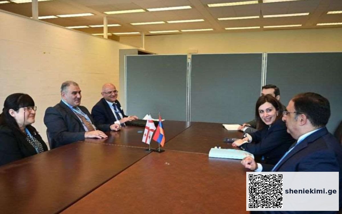 ისაუბრეს ორ ქვეყანას შორის ჯანმრთელობის დაცვის მიმართულებით არსებულ თანამშრომლობასა და გამოცდილების გაზიარებაზე | sheniekimi.ge | შენი ექიმი