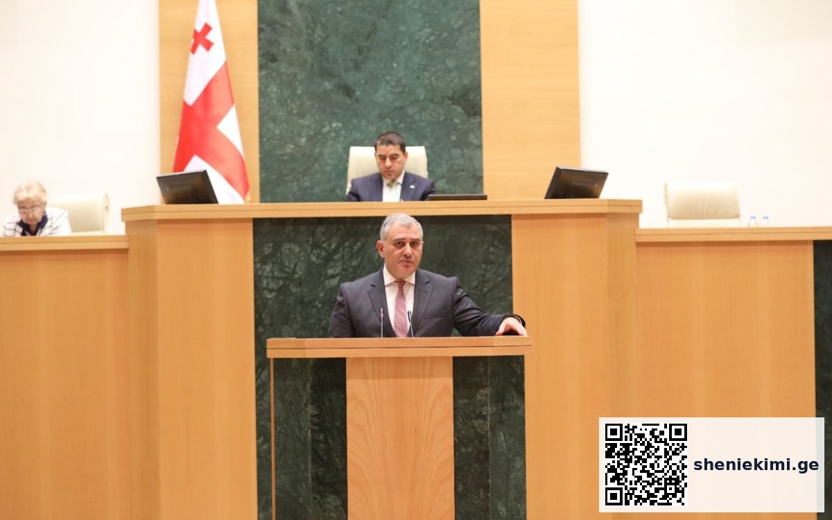 „ბავშვთა და შშმ პირთა უფლებებზე განსაკუთრებული ზრუნვა სახელმწიფოს უმთავრესი პრიორიტეტია“-მიხეილ სარჯველაძე | sheniekimi.ge | შენი ექიმი