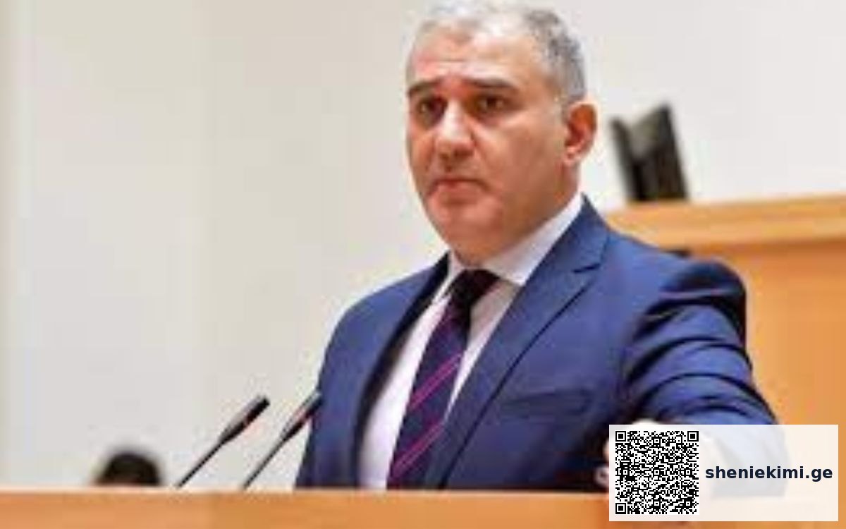 „ყველა იმ საჭიროებას, რომლებიც გააჩნიათ ონკოლოგიურ პაციენტებს, თუ სათანადო მკურნალობის და მედიკამენტის მიწოდება ვერ ხერხდება კერძო სექტორის მხრიდან, ბუნებრივია, საკუთარ თავზე აიღებს სახელმწიფო“ | sheniekimi.ge | შენი ექიმი