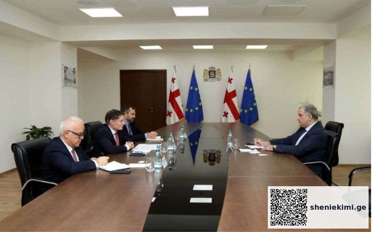 მიხეილ სარჯველაძე გაეროს მუდმივ კოორდინატორს საქართველოში შეხვდა | sheniekimi.ge | შენი ექიმი