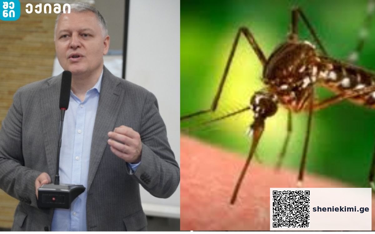 „ერთი გარდაცვლილი და რამდენიმე ჰოსპიტალიზებული“ – დასავლეთ ნილოსის ცხელება სომხეთში | sheniekimi.ge | შენი ექიმი