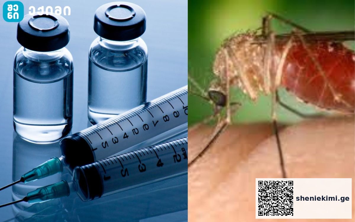 ევროპაში, ახალი ვირუსი გავრცელდა, ამ ეტაპზე, ვაქცინა არ არსებობს | sheniekimi.ge | შენი ექიმი