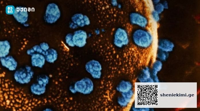 Groundbreaking Stem Cell Treatment Helps Type 1 Diabetes Patient Produce Insulin A recent medical breakthrough offers new hope for people with type 1 diabetes