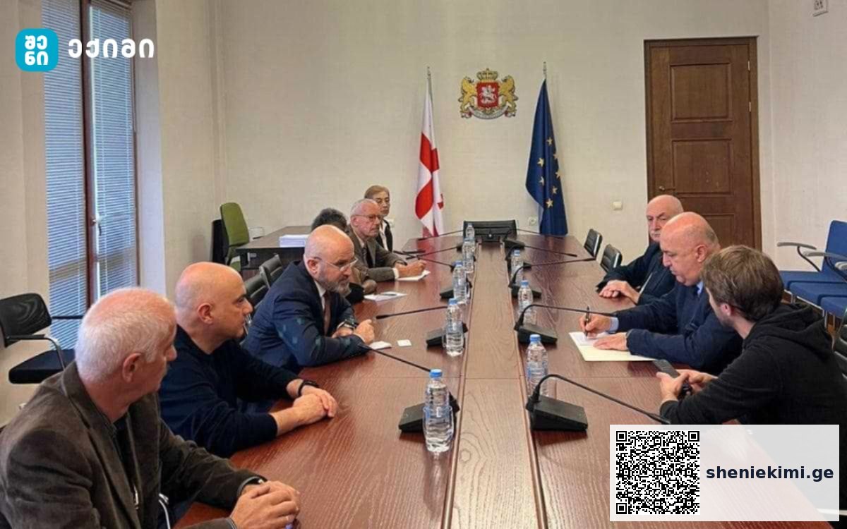 ზაზა ლომინაძე და ვლადიმერ კახაძე ჯანმრთელობის მსოფლიო ორგანიზაციის ექსპერტთა ჯგუფს შეხვდნენ | sheniekimi.ge | შენი ექიმი