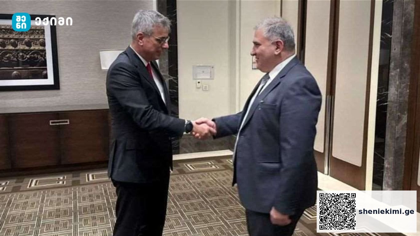 მხარეებმა საქართველოსა და თურქეთს შორის ჯანდაცვის სფეროში მიმდინარე ერთობლივ პროექტებსა და თანამშრომლობაზე ისაუბრეს | sheniekimi.ge | შენი ექიმი
