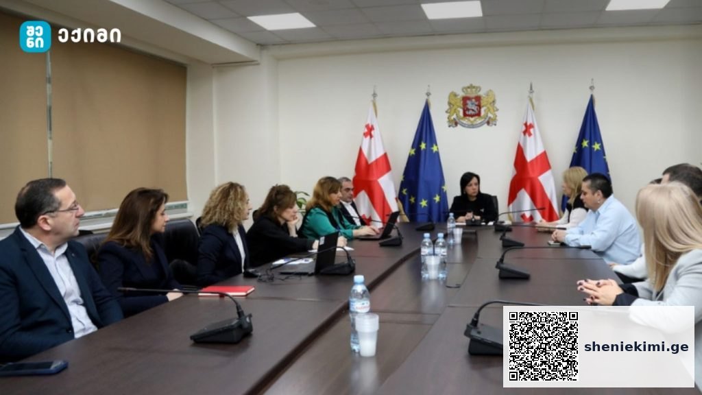 ხაზი გაესვა ბენეფიციართა უსაფრთხოების საკითხს – ჯანდაცვის სამინისტროში ხანდაზმულთა და შშმ პირთა სათემო ორგანიზაციებთან შეხვედრა გაიმართა | sheniekimi.ge | შენი ექიმი