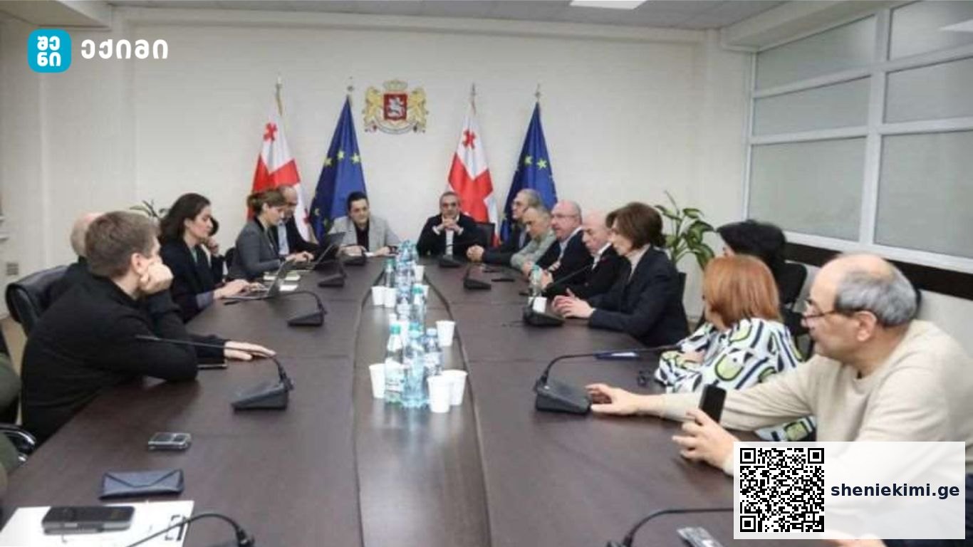 შეხვედრაზე, საუბარი შეეხო დიალიზის სერვისის დაფინანსების, აპარატურის განახლების, ერთიანი სამკურნალო პროტოკოლის შექმნის, სამედიცინო პერსონალის ანაზღაურებისა და მათი უწყვეტი განათლების საკითხებს | sheniekimi.ge | შენი ექიმი
