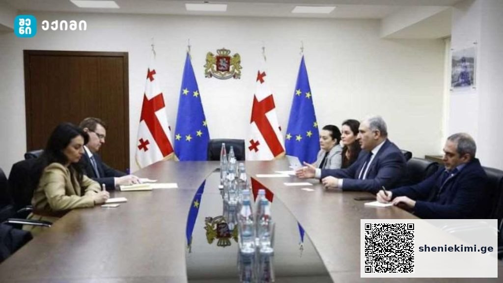 მხარეებმა, ჯანდაცვის სფეროში მიმდინარე, “ჯანდაცვის სექტორის გაძლიერების პროგრამა” განიხილეს, რომელიც პირველადი ჯანდაცვის სისტემის განვითარებაზეა ორიენტირებული და მომდევნო წლის თანამშრომლობის საკითხებზე შეთანხმდნენ | sheniekimi.ge | შენი ექიმი