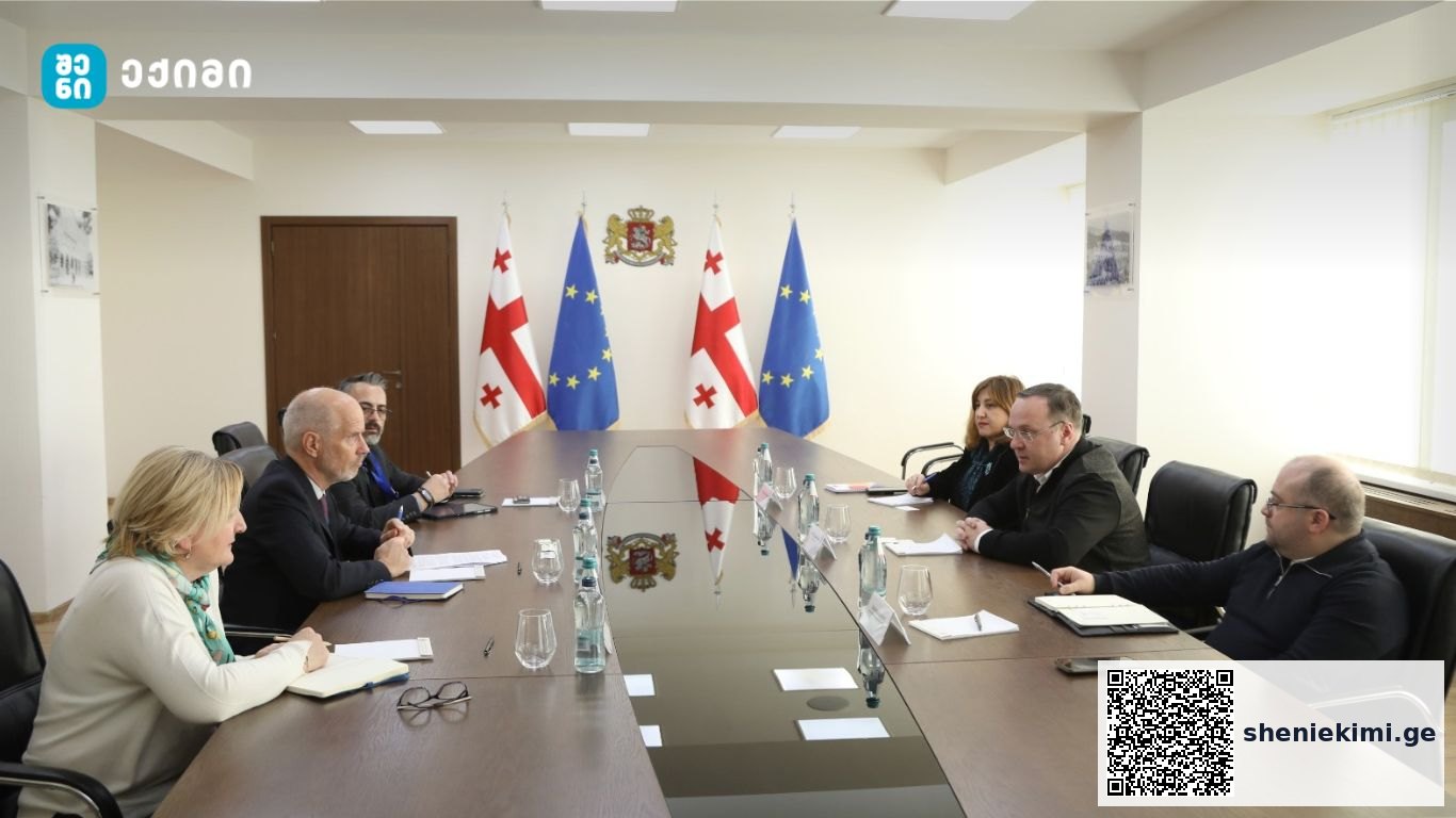 მხარეებმა, საქართველოსა და IOM-ს შორის მიმდინარე თანამშრომლობის შესახებ ისაუბრეს | sheniekimi.ge | შენი ექიმი