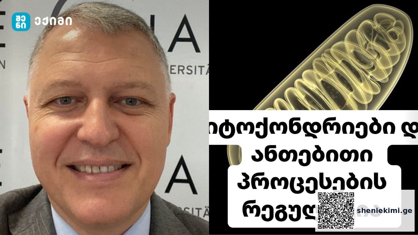 მიტოქონდრიები და ანთებითი პროცესების რეგულაცია – ახალი კვლევის შედეგები | sheniekimi.ge | შენი ექიმი