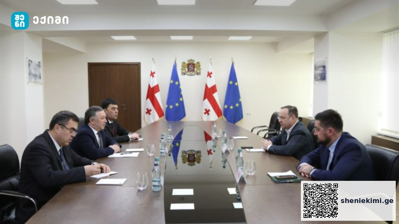 მინისტრის მოადგილემ, სააგენტოს ხელმძღვანელს ქვეყანაში შრომითი მიგრაციის შესახებ დეტალური ინფორმაცია მიაწოდა და აღნიშნა, რომ საქართველო უზბეკეთის საიმედო პარტნიორია | sheniekimi.ge | შენი ექიმი