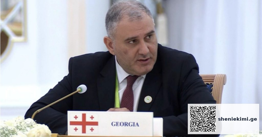 მიხეილ სარჯველაძე საერთაშორისო კონფერენციაში – „მშვიდობისა და ნდობის წელი: საერთაშორისო ქმედებების განვითარება ბავშვებისთვის“, მონაწილეობს | sheniekimi.ge | შენი ექიმი მიხეილ სარჯველაძე საერთაშორისო კონფერენციაში – „მშვიდობისა და ნდობის წელი: საერთაშორისო ქმედებების განვითარება ბავშვებისთვის“, მონაწილეობს | sheniekimi.ge | შენი ექიმი