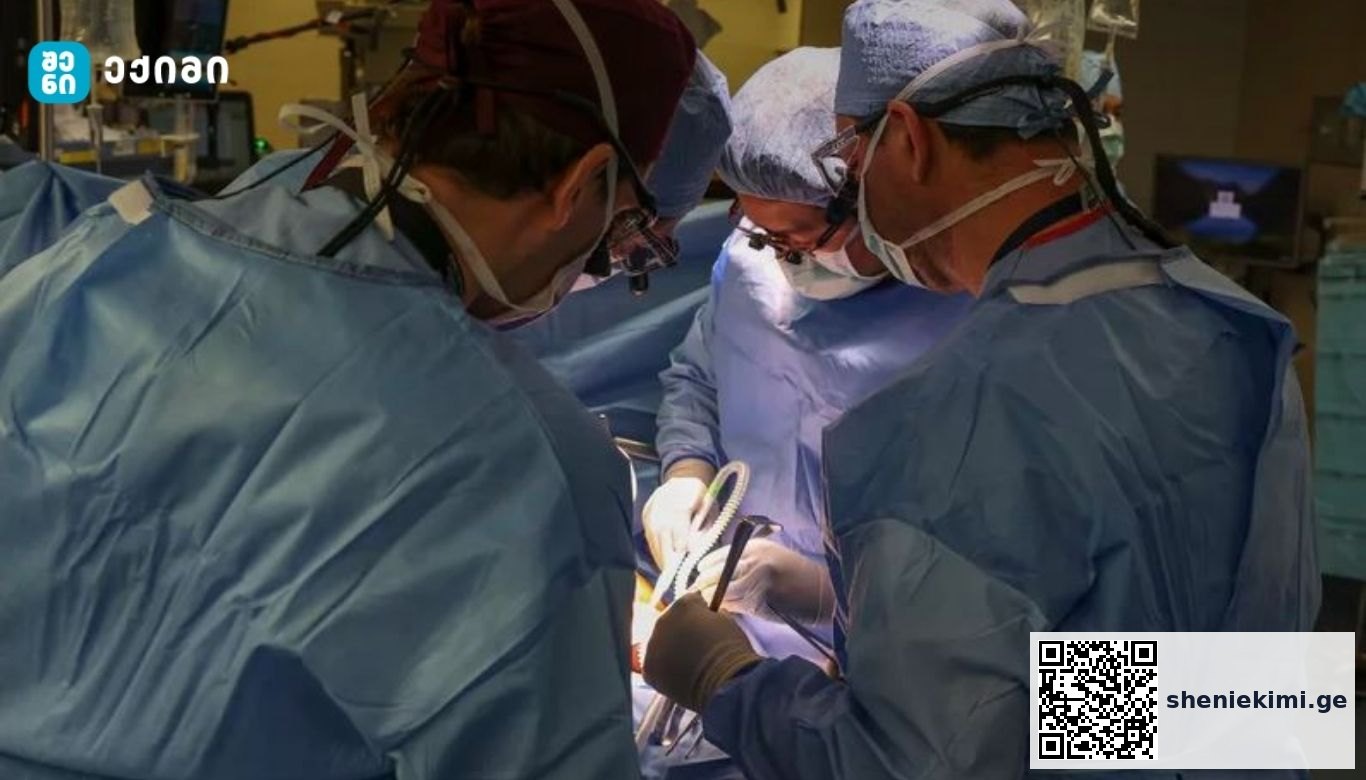 Georgia’s Nurse Shortage: A Healthcare Crisis | sheniekimi.ge | შენი ექიმი