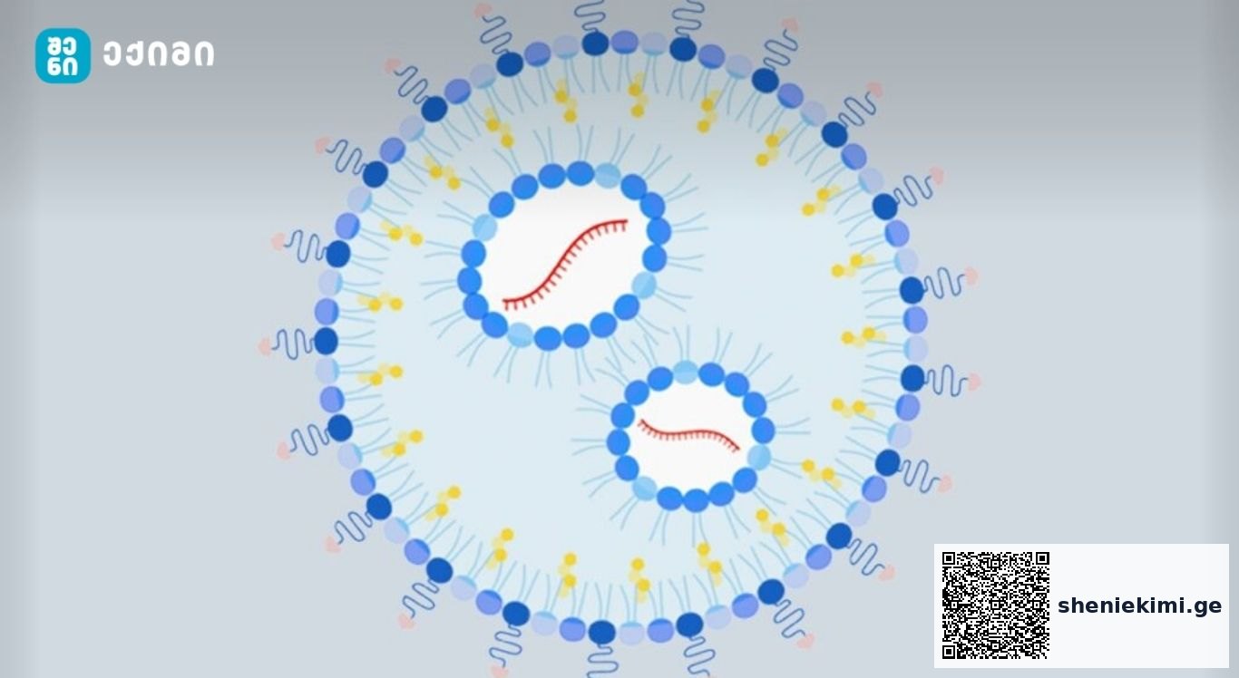 mRNA ტექნოლოგიამ შესაძლოა HIV სამუდამოდ აღმოფხვრას – როგორ მუშაობს ტექნოლოგია? – ხშირად დასმული კითხვები | sheniekimi.ge | შენი ექიმი