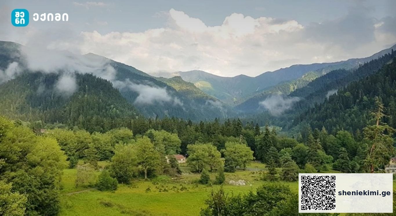 მთა — თქვენი ჯანმრთელობის ბუნებრივი კლინიკა, ჯანმრთელობისთვის ბუნებრივი წამალი | sheniekimi.ge | შენი ექიმი