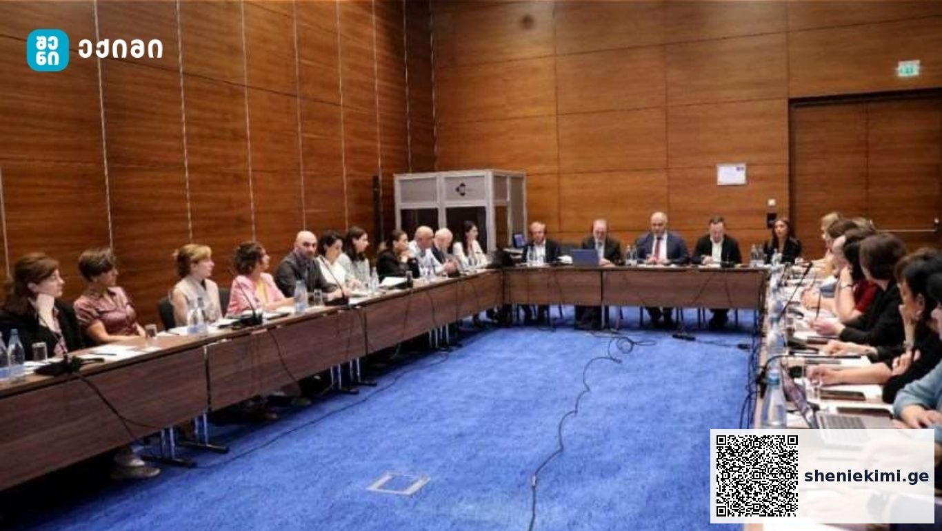 უმუშევრობის დაზღვევის სისტემის განვითარების პერსპექტივები განიხილეს – უწყების ხელმძღვანელმა ყურადღება საქართველოში უმუშევრობის დაზღვევის სისტემის დანერგვის შესაძლებლობებზე გაამახვილა | sheniekimi.ge | შენი ექიმი