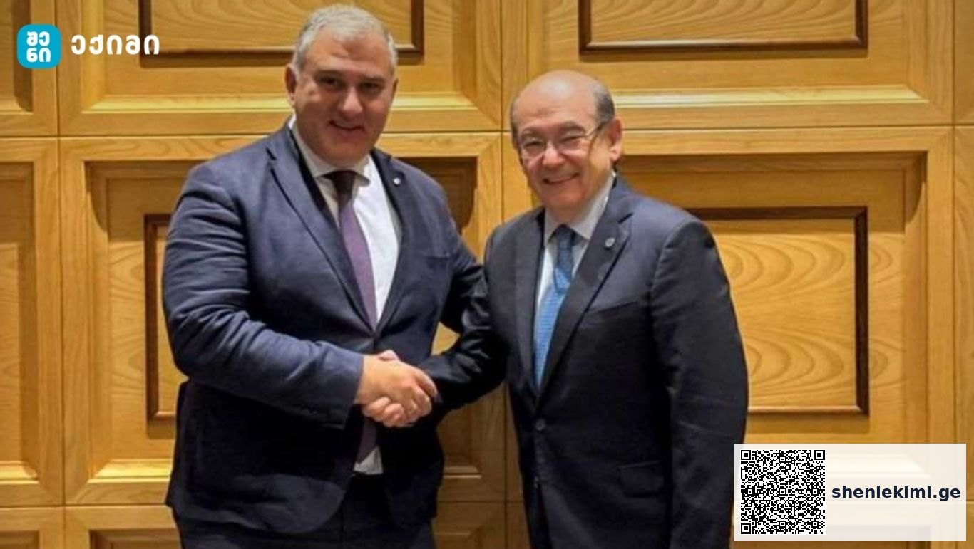 საქართველოს უნივერსიტეტების სამედიცინო ფაკულტეტების კურსდამთავრებულებს საშუალება აქვთ, განათლება განაგრძონ და დასაქმდნენ მსოფლიოს ნებისმიერ ქვეყანაში | sheniekimi.ge | შენი ექიმი