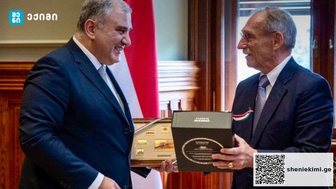 განსაკუთრებული ყურადღება გამახვილდა ჯანდაცვის სისტემების განვითარების, სოციალური დაცვისა და სამედიცინო განათლების სფეროში გამოცდილების გაზიარებაზე | sheniekimi.ge | შენი ექიმი