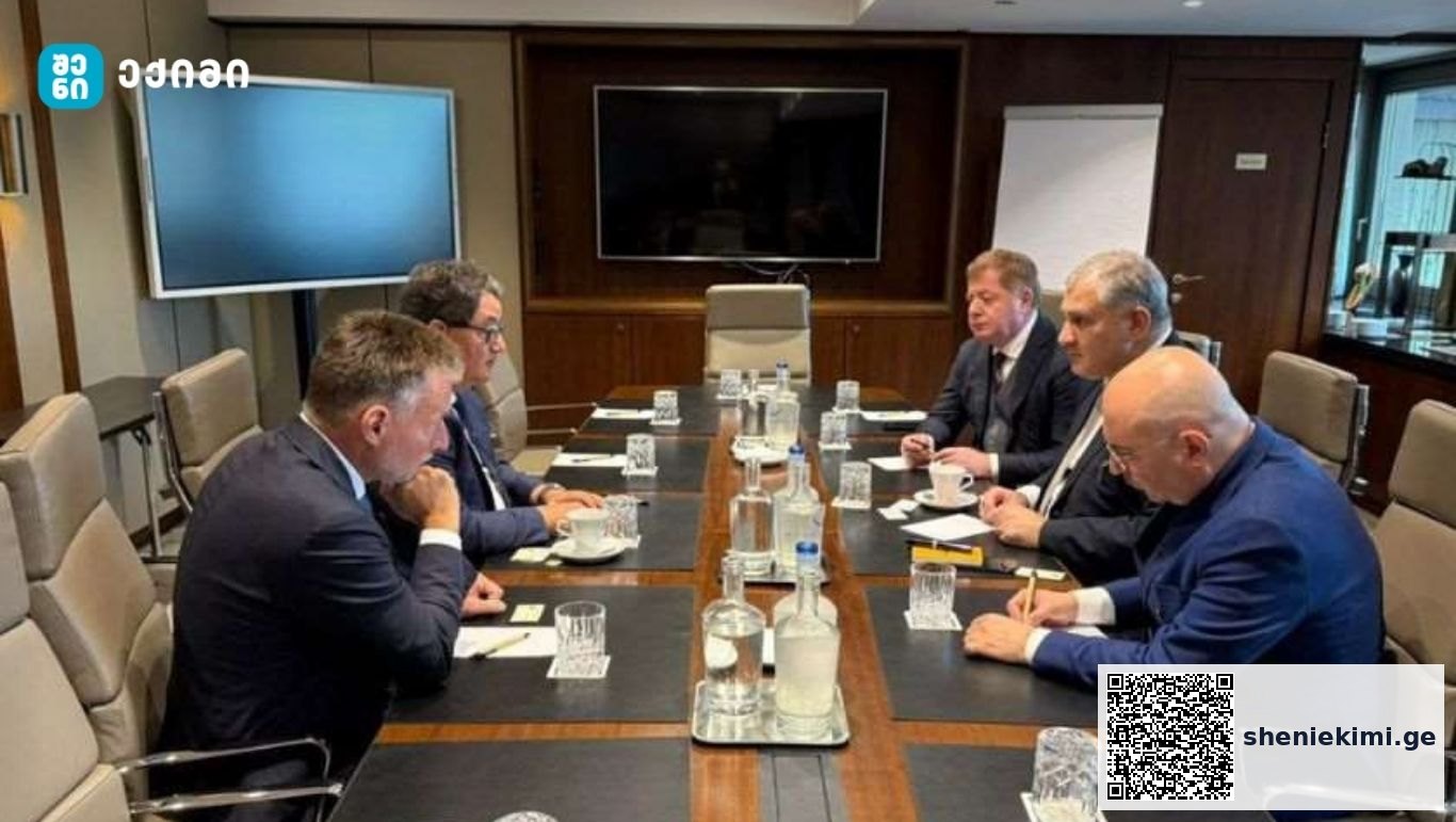 შეხვედრაზე, ექიმების პროფესიული გადამზადების პროგრამები განიხილეს | sheniekimi.ge | შენი ექიმი