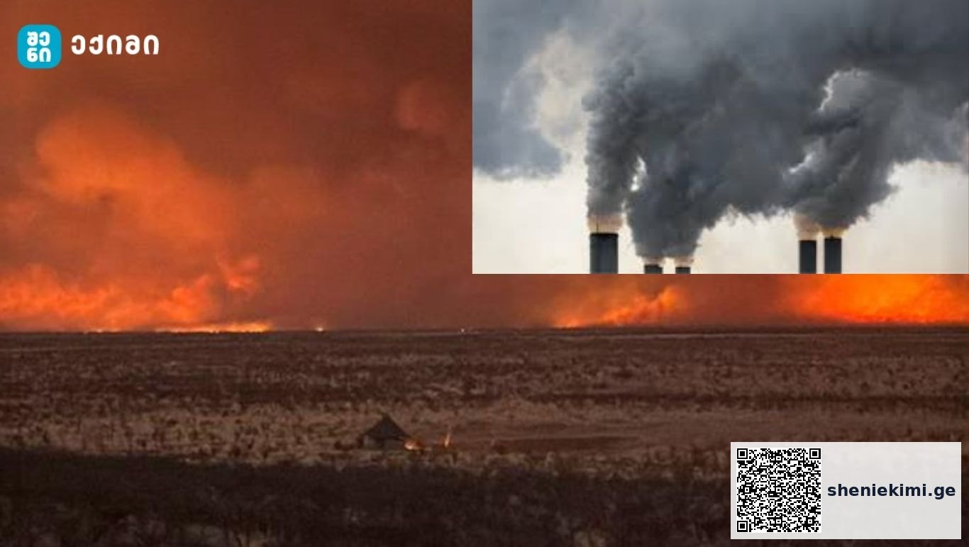გაერო: 2024 წელს CO2-ის კონცენტრაცია მსოფლიოში ისტორიულ მაქსიმუმამდე გაიზარდა | sheniekimi.ge | შენი ექიმი