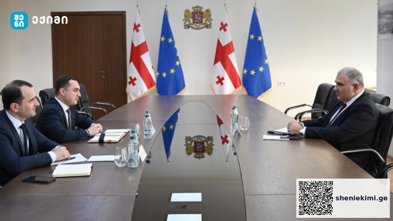 განხილულ იქნა აფხაზეთიდან დევნილი მოსახლეობის ჯანმრთელობის დაცვისა და სოციალური უზრუნველყოფის საკითხები. განსაკუთრებული ყურადღება გამახვილდა სამედიცინო სერვისების ხელმისაწვდომობის კიდევ უფრო გაზრდაზე | sheniekimi.ge | შენი ექიმი