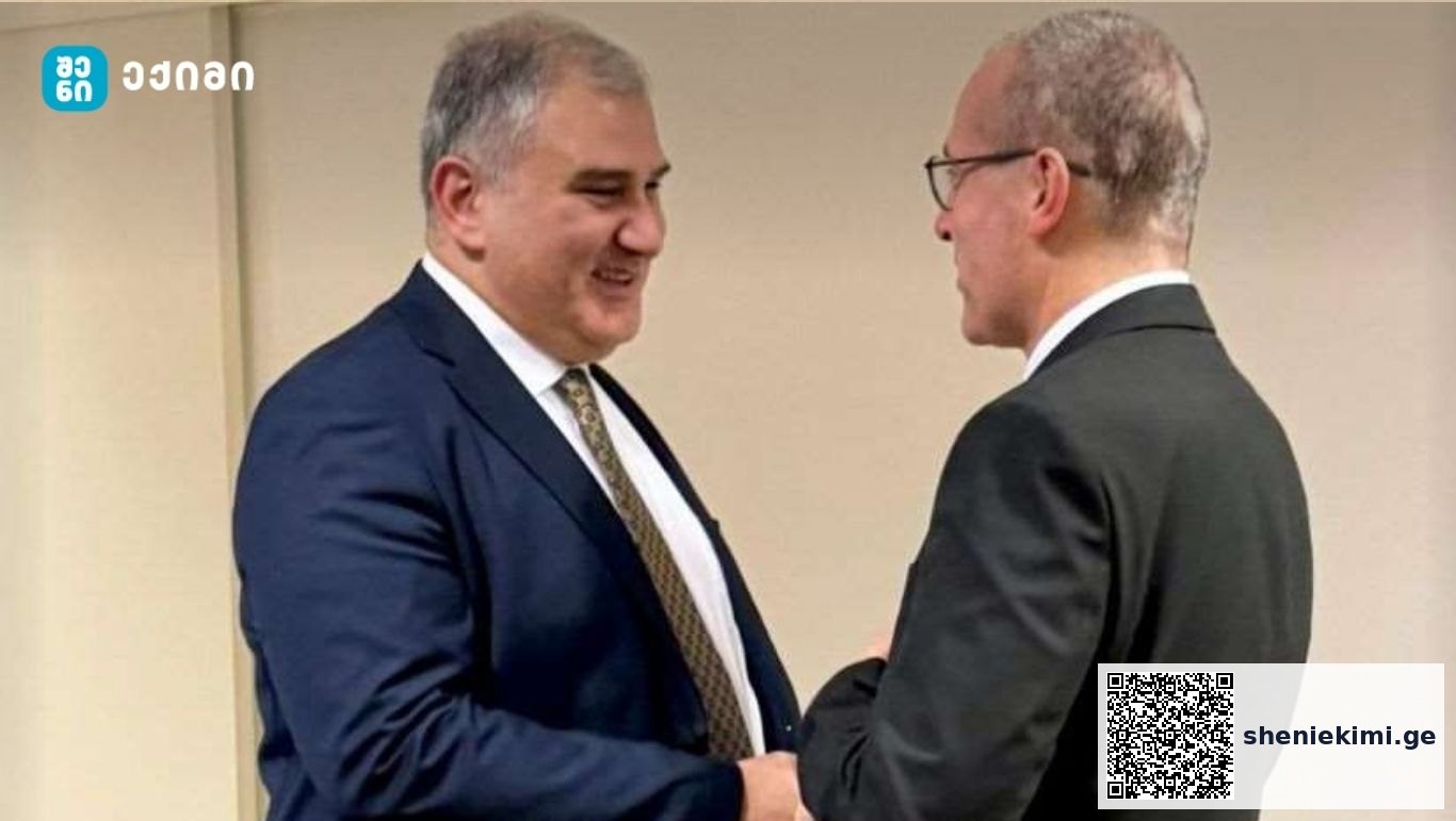 საუბარი, ასევე, შეეხო, ჯანმრთელობის მსოფლიო ორგანიზაციასთან თანამშრომლობასა და ერთობლივ პროექტებს | sheniekimi.ge | შენი ექიმი
