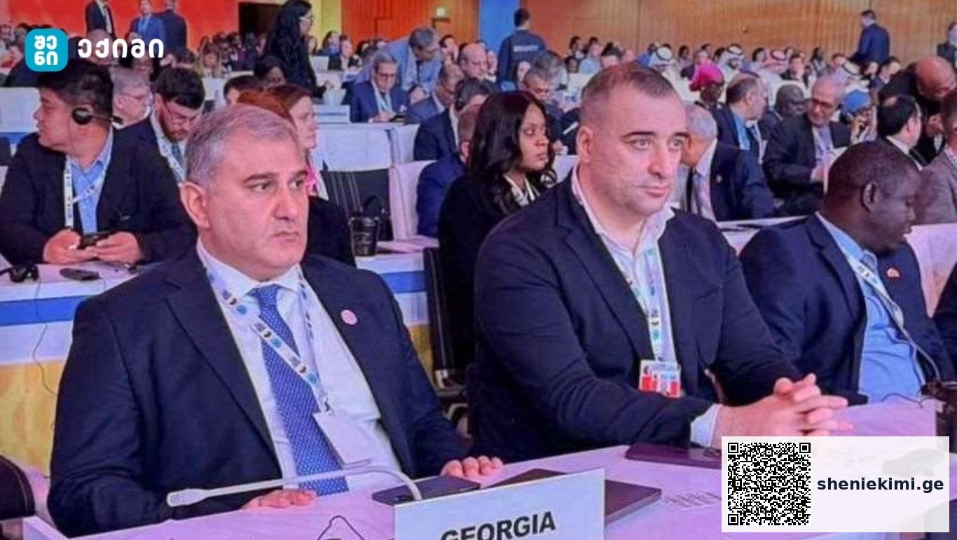 სესიაზე, სიღარიბის აღმოფხვრის, დასაქმების, ღირსეული სამუშაო პირობების შექმნასა და სოციალური ინკლუზიის მიმართულებებზე იმსჯელეს | sheniekimi.ge | შენი ექიმი