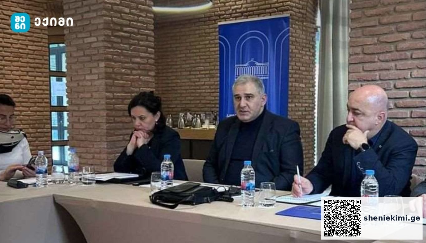 რა საკითხზე ისაუბრა მიხეილ სარჯველაძემ | sheniekimi.ge | შენი ექიმი