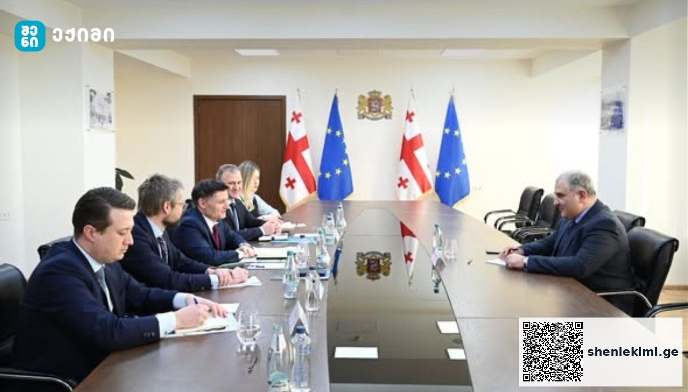 მიხეილ სარჯველაძე საქართველოში გაეროს მუდმივ კოორდინატორ დიდიე ტღებიუკს შეხვდა | sheniekimi.ge | შენი ექიმი