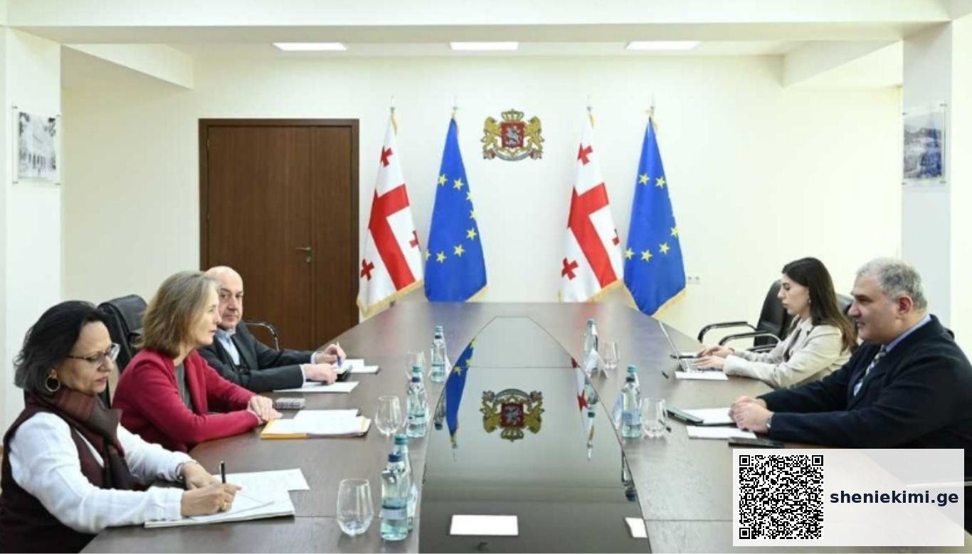 მინისტრმა ყურადღება გაამახვილა გაეროს მოსახლეობის ფონდის მიერ, საქართველოში ადამიანის უფლებების დაცვასა და დემოგრაფიული მდგრადობის ხელშეწყობის მნიშვნელობაზე | sheniekimi.ge | შენი ექიმი