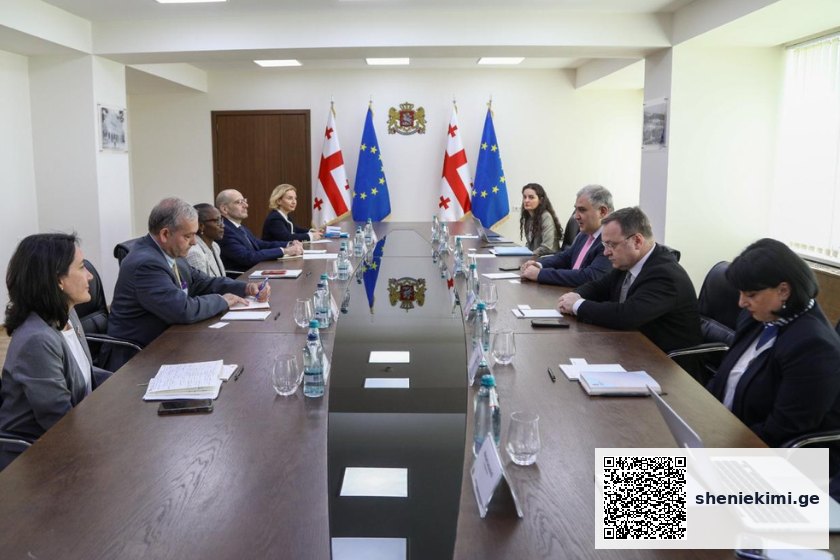 შეხვედრაზე, მხარეებმა ადამიანური კაპიტალის პროექტის მიმდინარეობასა და სოციალური დაცვის ანგარიშგების ინტეგრირებული სისტემის დანერგვაზე (IRSSP) ისაუბრეს. განიხილეს სოციალური სისტემების გაძლიერებისა და დასაქმების შესაძლებლობები | sheniekimi.ge | შენი ექიმი