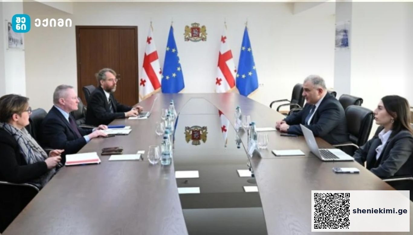 მხარეებმა ადამიანის უფლებების დაცვის მიმართულებით საქართველოში არსებულ ვითარებაზე ისაუბრეს – მიხეილ სარჯველაძე ევროპის საბჭოს ადამიანის უფლებათა კომისარ მაიკლ ო’ფლაერტის შეხვდა | sheniekimi.ge | შენი ექიმი