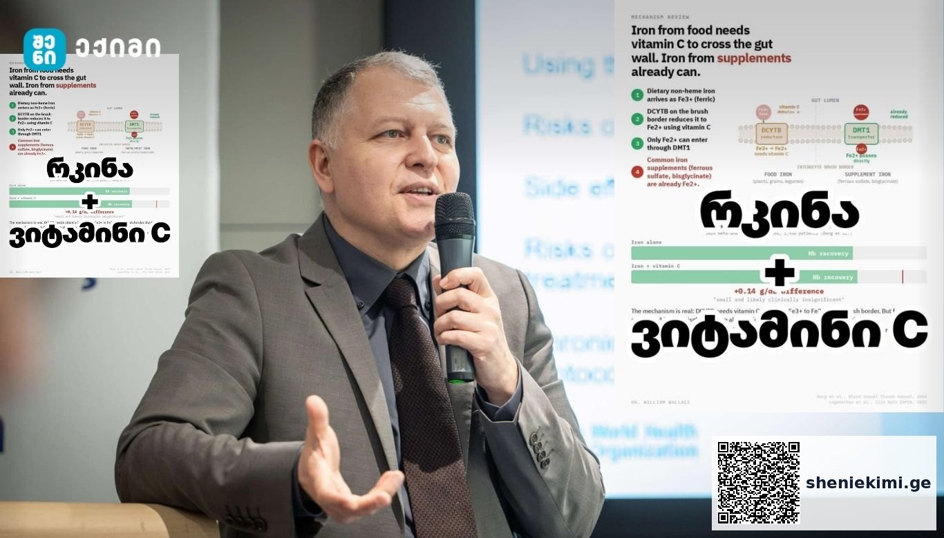 რკინა + ვიტამინი C — საჭირო კომბინაცია თუ გადაჭარბებული რჩევა? | sheniekimi.ge | შენი ექიმი