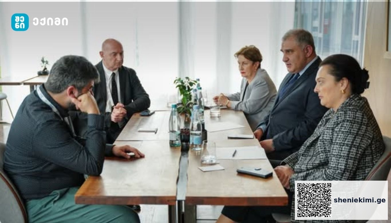საერთაშორისო ექსპერტებთან შეხვედრაზე განხილვის მთავარი თემა ნერვ-კუნთოვანი დაავადებები და მათი მართვის საერთაშორისო პრაქტიკა იყო. | sheniekimi.ge | შენი ექიმი