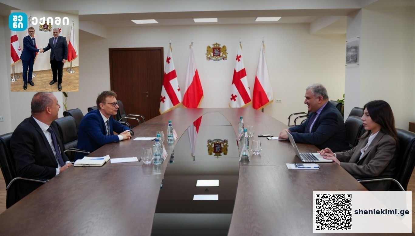 მიხეილ სარჯველაძემ და არტურ გებალმა შრომის ბაზრისა და დასაქმების საკითხებზე ისაუბრეს, ამასთან, განიხილეს შრომით მიგრაციასთან დაკავშირებული თემები. | sheniekimi.ge | შენი ექიმი