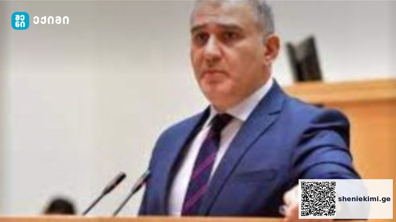 „სადაც შეიძლება პაციენტის ინტერესზე მაღლა დადგეს კომერციული ინტერესი, იქ სახელმწიფოს მოეთხოვება იყოს ძალიან აქტიური და ეს არაფრის დიდებით დაუშვას“-მიხეილ სარჯველაძე | sheniekimi.ge | შენი ექიმი