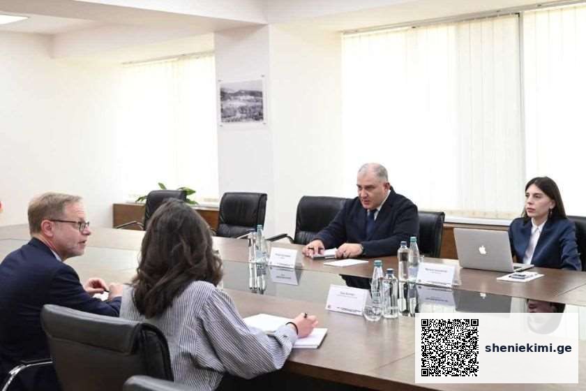 შეხვედრაზე განიხილეს სოციალური და ჯანმრთელობის დაცვის საკითხები. ყურადღება გამახვილდა კლინიკურ სექტორზეც. საუბარი შეეხო მედიკამენტების მწარმოებელ კომპანიებსაც, რომლებიც დღეს საქართველოში ოპერირებენ | sheniekimi.ge | შენი ექიმი