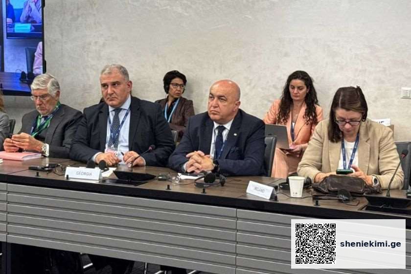 მიხეილ სარჯველაძემ ჯანმრთელობის მსოფლიო ასამბლეის ფარგლებში პირველადი ჯანდაცვის საკითხებზე გამართულ პანელურ დისკუსიაში მიიღო მონაწილეობა | sheniekimi.ge | შენი ექიმი