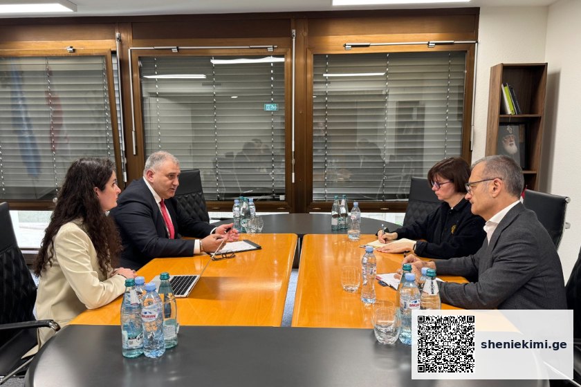 მიხეილ სარჯველაძე გლობალური ფონდის წარმომადგენლებს შეხვდა – მიმდინარე რეფორმები და პრიორიტეტული მიმართულებები | sheniekimi.ge | შენი ექიმი