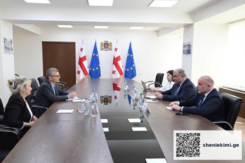 მხარეებმა განიხილეს ჯანდაცვის სფეროში მიმდინარე რეფორმები და იმსჯელეს შიდსის, ტუბერკულოზისა და ჰეპატიტების სამკურნალო სახელმწიფო პროგრამებზე | sheniekimi.ge | შენი ექიმი